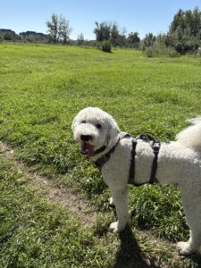 Favorite time of day