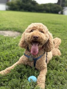 Tucker knows how to have fun