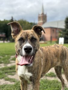 Suns out = tongues out