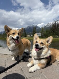 Stella & Phoebe enjoying the mountain air